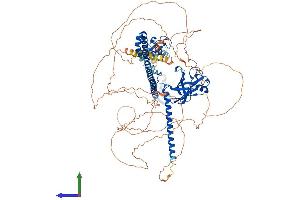 AlphaFold protein structure predicition of Human Recombinant TRIM37 Protein, UniprotID O94972