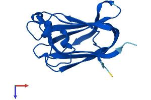 AlphaFold protein structure predicition of Mouse Recombinant Nr2c2ap Protein, UniprotID Q3TV70