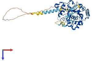 AlphaFold protein structure predicition of Mouse Recombinant St3gal5 Protein, UniprotID O88829