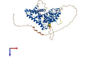 AlphaFold protein structure predicition of Mouse Recombinant Nr6a1 Protein, UniprotID Q64249