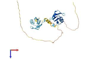 AlphaFold protein structure predicition of Mouse Recombinant Hnrnpab Protein, UniprotID Q99020