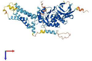 AlphaFold protein structure predicition of Human Recombinant TPTE Protein, UniprotID P56180