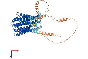 AlphaFold protein structure predicition of Mouse Recombinant Slc19a1 Protein, UniprotID P41438