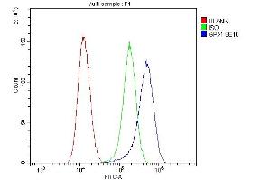 Flow Cytometry analysis of U87 cells using anti- GPX1 antibody (ABIN6719520). (Glutathione Peroxidase 1 anticorps  (Middle Region))