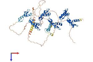 AlphaFold protein structure predicition of Human Recombinant ZFP37 Protein, UniprotID Q9Y6Q3