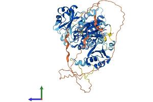 AlphaFold protein structure predicition of Mouse Recombinant Esrp1 Protein, UniprotID Q3US41