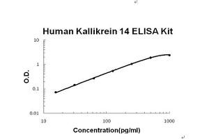 Human Kallikrein 14 PicoKine ELISA Kit standard curve (Kallikrein 14 Kit ELISA)
