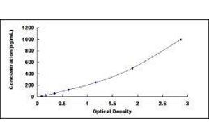 Fibroblast Growth Factor 17 (FGF17) ELISA Kit