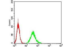 Flow cytometric analysis of A549 cells using DAPP1 mouse mAb (green) and negative control (red).