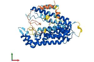 AlphaFold protein structure predicition of Mouse Recombinant Pdss2 Protein, UniprotID Q33DR3