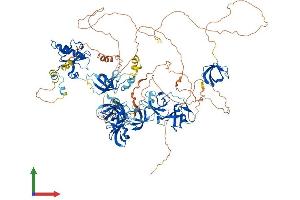 AlphaFold protein structure predicition of Mouse Recombinant Supt5h Protein, UniprotID O55201