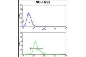 Flow cytometry analysis of NCI-H292 cells (bottom histogram) compared to a negative control cell (top histogram). (KYNU anticorps  (C-Term))
