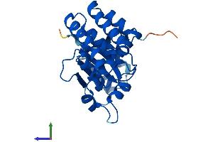AlphaFold protein structure predicition of Mouse Recombinant Otub2 Protein, UniprotID Q9CQX0