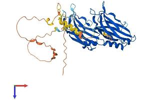 AlphaFold protein structure predicition of Human Recombinant DOC2A Protein, UniprotID Q14183