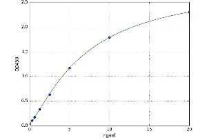 Glucosidase, Beta, Acid (GBA) ELISA Kit