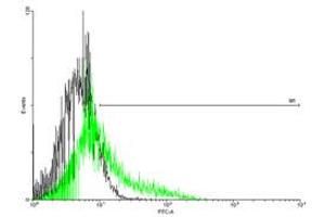 FACS analysis of negative control 293 cells (Black) and IL13RA2 expressing 293 cells (Green) using IL13RA2 purified MaxPab mouse polyclonal antibody. (IL13RA2 anticorps  (AA 1-380))
