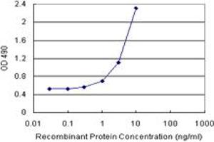 CALML3 (Human) Matched Antibody Pair