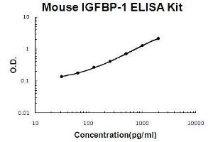 Mouse IGFBP-1 PicoKine ELISA Kit standard curve (IGFBPI Kit ELISA)