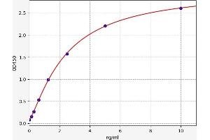 Typical standard curve (SYT1 Kit ELISA)