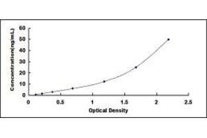 Typical standard curve (LAMB2 Kit ELISA)