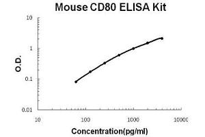 Mouse B7-1/CD80 PicoKine ELISA Kit standard curve (CD80 Kit ELISA)