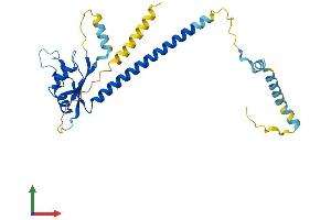 AlphaFold protein structure predicition of Mouse Recombinant Abt1 Protein, UniprotID Q9QYL7