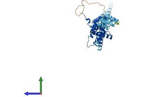 AlphaFold protein structure predicition of Mouse Recombinant Cdc37 Protein, UniprotID Q61081