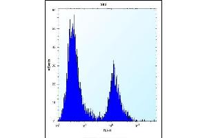 IRF4 Antibody (Center) (ABIN656568 and ABIN2845828) flow cytometric analysis of 293 cells (right histogram) compared to a negative control cell (left histogram).