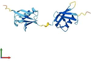 AlphaFold protein structure predicition of Human Recombinant UBD Protein, UniprotID O15205