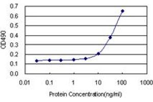 MMP3 (Human) Matched Antibody Pair