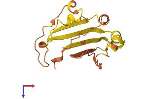 AlphaFold protein structure predicition of Human Recombinant TPTE2P1 Protein, UniprotID Q5T6R2