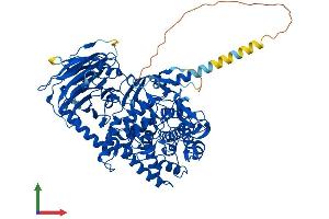 AlphaFold protein structure predicition of Mouse Recombinant Mogs Protein, UniprotID Q80UM7