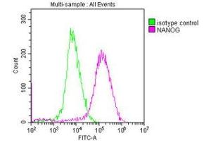 Overlay histogram showing MCF-7 cells stained with ABIN7155816 (red line) at 1:250.