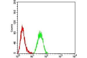 Flow cytometric analysis of Hela cells using NR2C2 mouse mAb (green) and negative control (red).