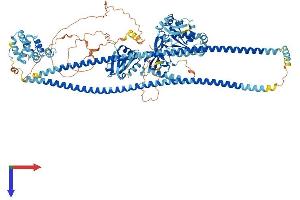 AlphaFold protein structure predicition of Human Recombinant CARD14 Protein, UniprotID Q9BXL6