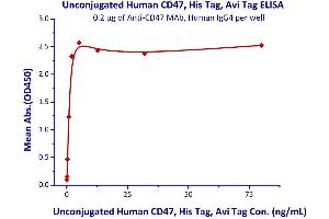 Immobilized Anti-CD47 MAb, Human IgG4 at 2μg/mL (100 μL/well) can bind Unconjugated Human CD47, His Tag, Avi Tag  with a linear range of 0. (CD47 Protein (CD47) (AA 19-139) (His tag,AVI tag))