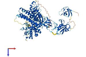AlphaFold protein structure predicition of Human Recombinant VAV1 Protein, UniprotID P15498