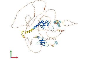 AlphaFold protein structure predicition of Mouse Recombinant Fbxo43 Protein, UniprotID Q8CDI2
