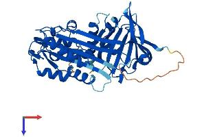 AlphaFold protein structure predicition of Human Recombinant SERPINB6 Protein, UniprotID P35237