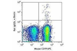 Flow Cytometry (FACS) image for anti-CD3 (CD3) antibody (Biotin) (ABIN2660761) (CD3 anticorps  (Biotin))