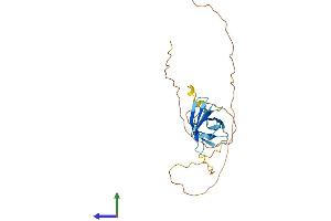 AlphaFold protein structure predicition of Mouse Recombinant Gar1 Protein, UniprotID Q9CY66