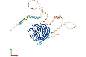 AlphaFold protein structure predicition of Mouse Recombinant Plrg1 Protein, UniprotID Q922V4