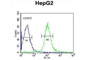 Flow Cytometry (FACS) image for anti-Microsomal Glutathione S-Transferase 2 (MGST2) antibody (ABIN3003945)