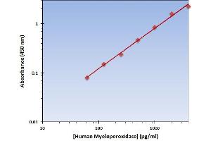 This is an example of what a typical standard curve will look like. (Myeloperoxidase Kit ELISA)
