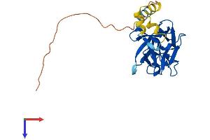 AlphaFold protein structure predicition of Human Recombinant FGF16 Protein, UniprotID O43320