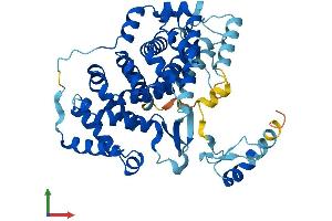 AlphaFold protein structure predicition of Human Recombinant ZMYND10 Protein, UniprotID O75800