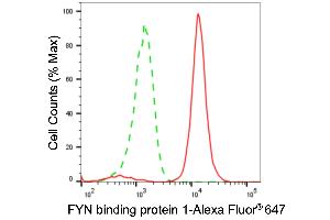 Flow cytometric analysis of FYN binding protein 1 expression in H9c2 cells using FYN binding protein 1 antibody (ABIN7798672), 1:2,000). (Recombinant FYB1 anticorps)
