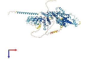 AlphaFold protein structure predicition of Human Recombinant TRPC6 Protein, UniprotID Q9Y210