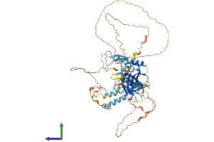 AlphaFold protein structure predicition of Human Recombinant GRHL3 Protein, UniprotID Q8TE85