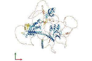 AlphaFold protein structure predicition of Human Recombinant KCNH7 Protein, UniprotID Q9NS40